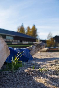 Hindernisse am Springplatz -  Reit- und Zuchthofes Strobl im Salzkammergut 