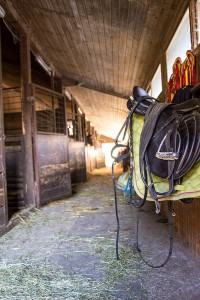 Pferdestall am  Reit- und Zuchthofes Strobl im Salzkammergut 