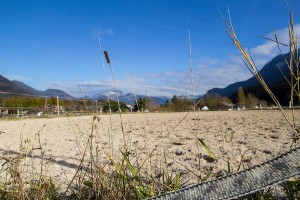 Dressurplatz am  Reit- und Zuchthofes Strobl im Salzkammergut 