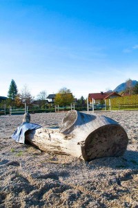 Springplatz am  Reit- und Zuchthofes Strobl im Salzkammergut 