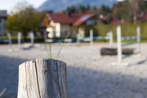 Springplatz des  Reit- und Zuchthofes Strobl im Salzkammergut 