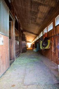 Pferdestall im  Reit- und Zuchthof Strobl im Salzkammergut 
